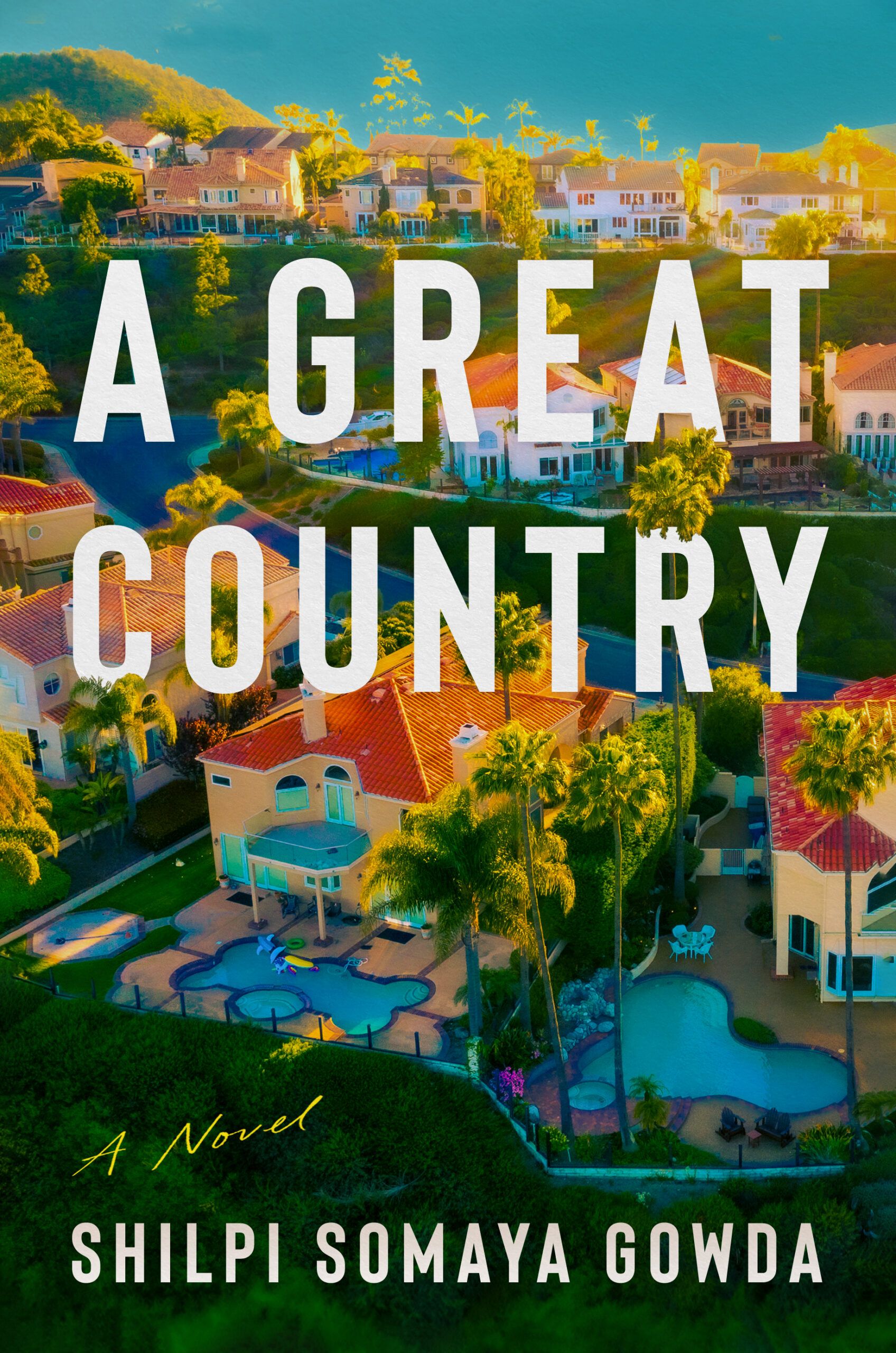 Download A Great Country PDF by Shilpi Somaya Gowda