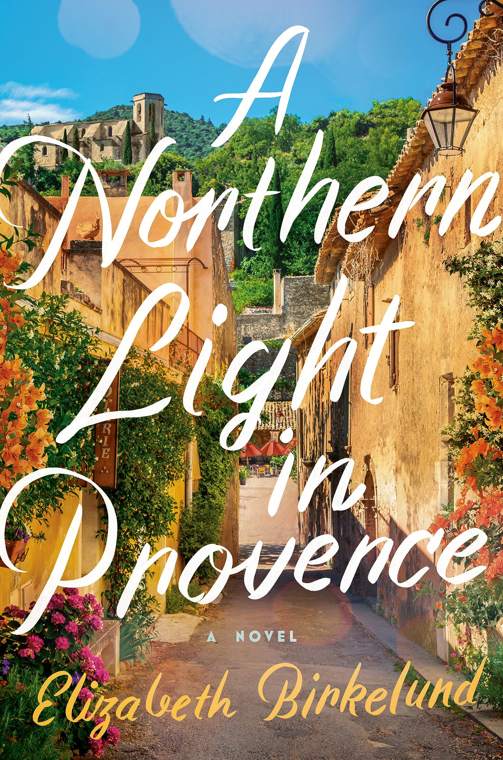 Download A Northern Light in Provence PDF by Elizabeth Birkelund