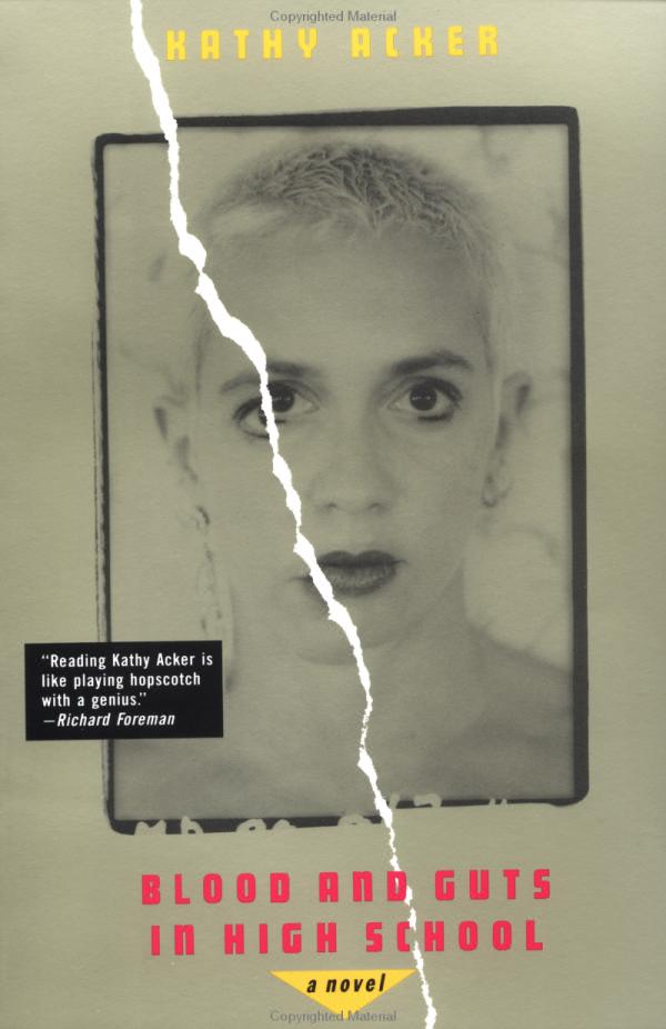 Download Blood and Guts in High School PDF by Kathy Acker