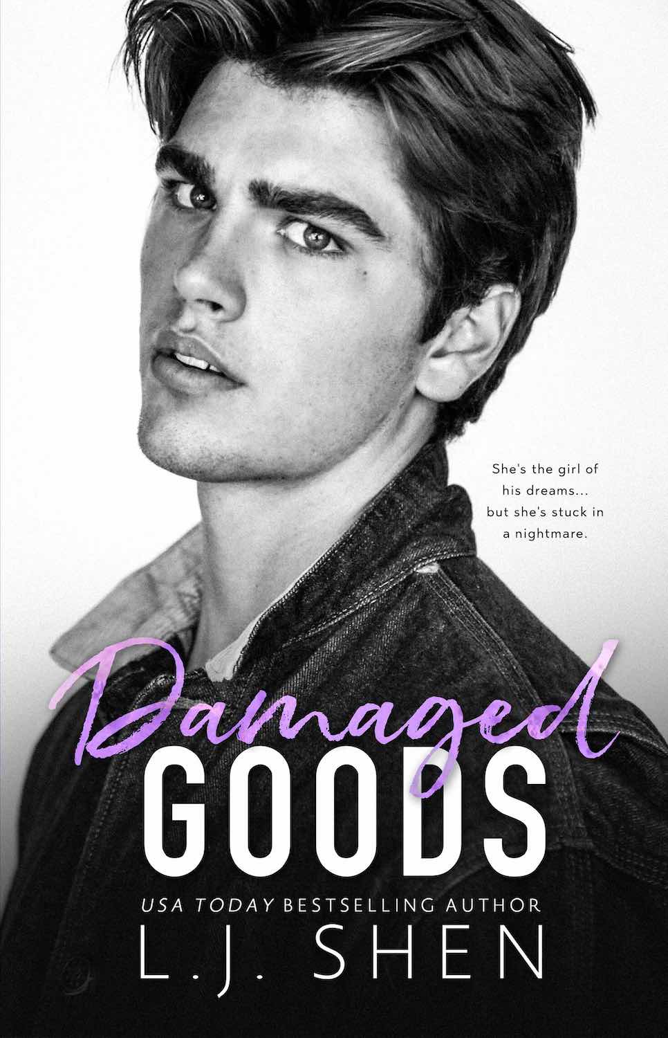 Download Damaged Goods PDF by L.J. Shen