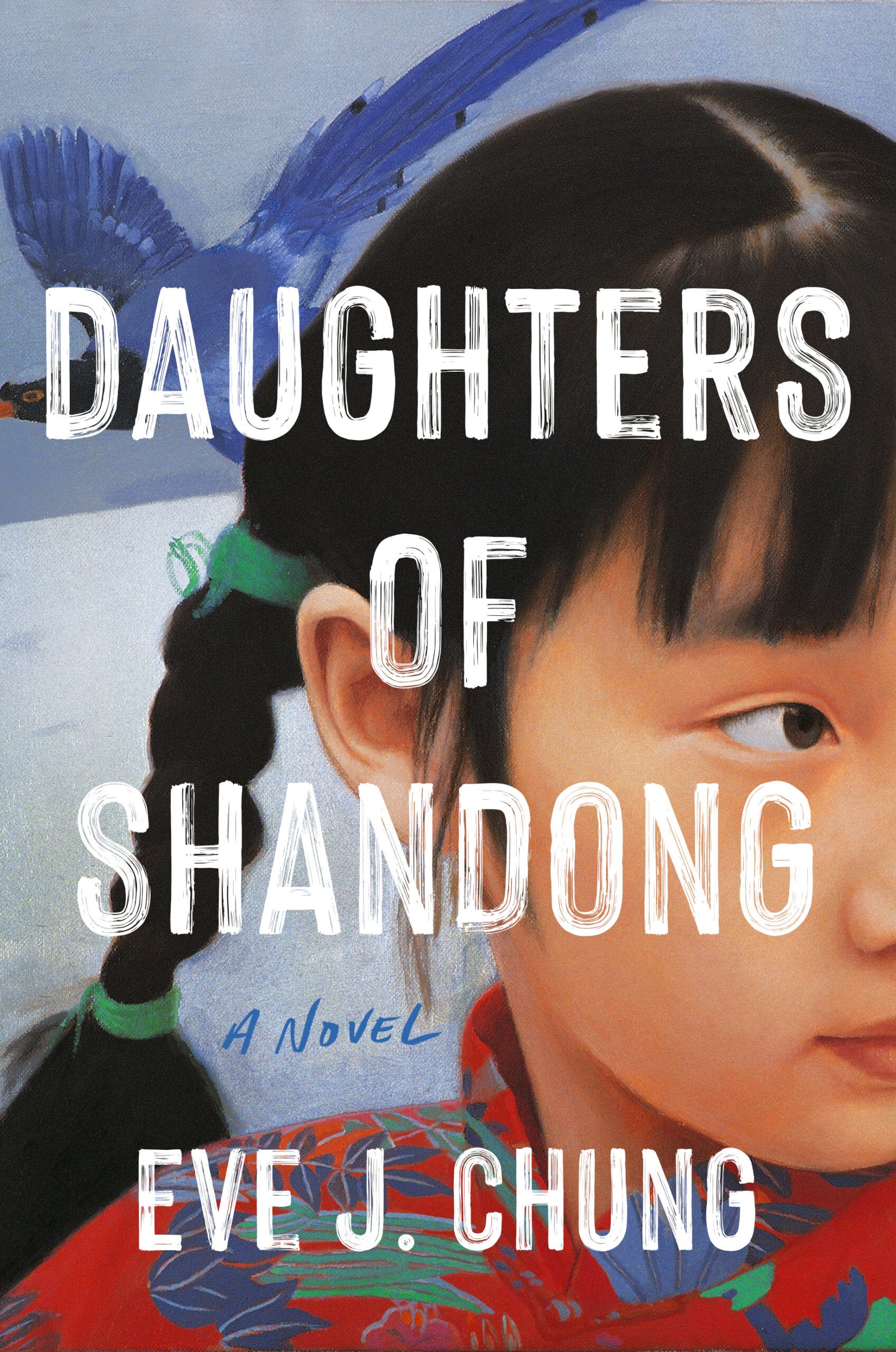 Download Daughters of Shandong PDF by Eve J. Chung