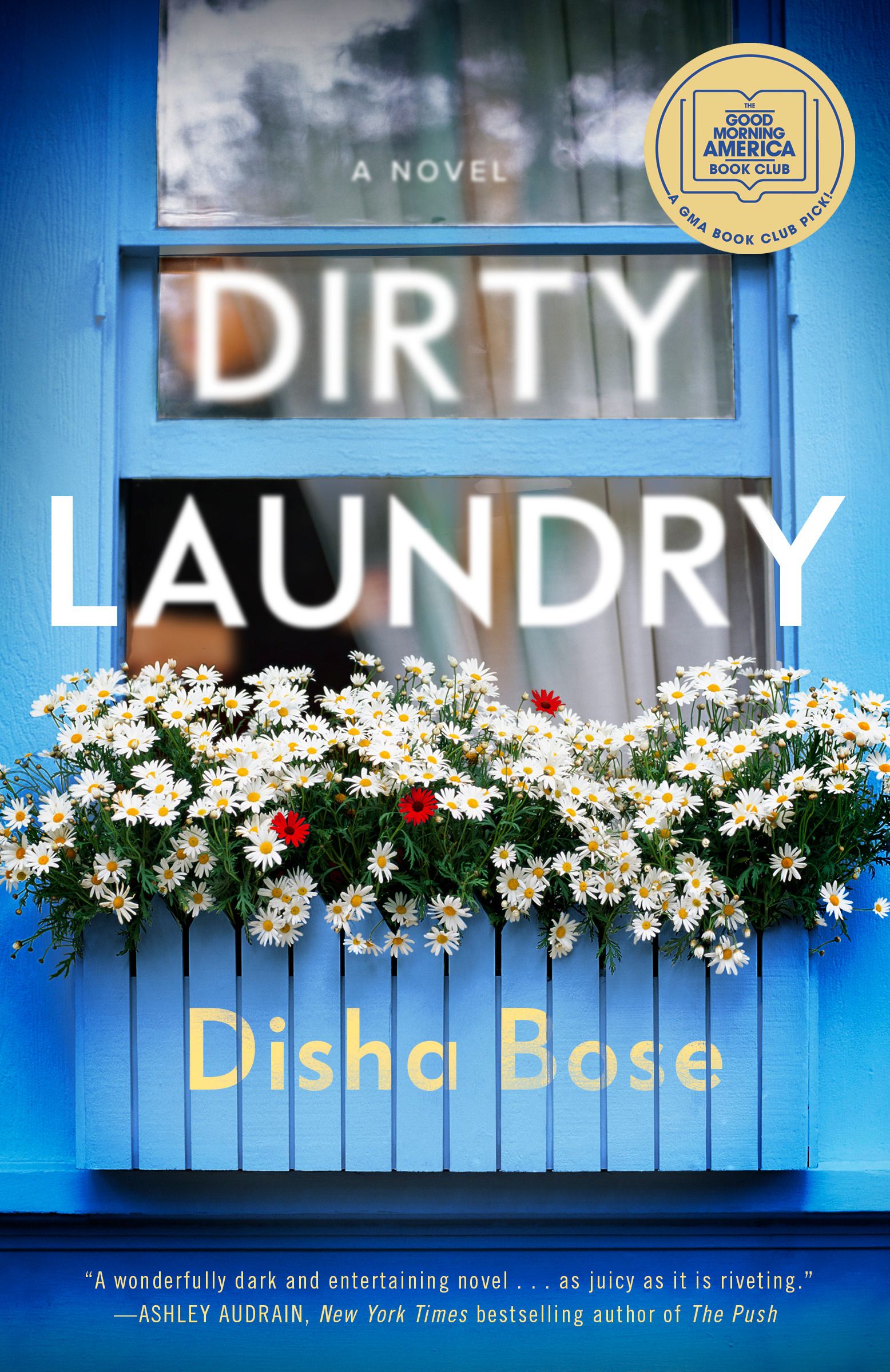 Download Dirty Laundry PDF by Disha Bose