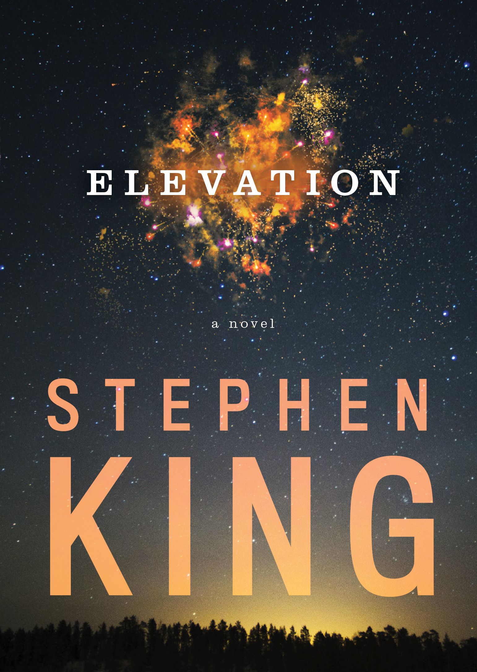 Download Elevation PDF by Stephen King