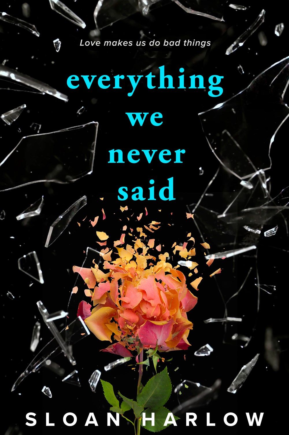 Download Everything We Never Said PDF by Sloan Harlow