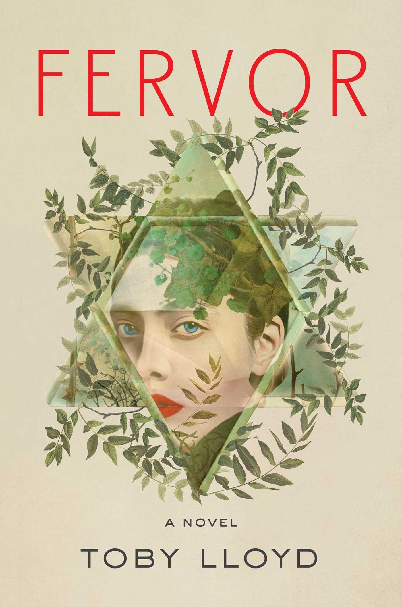 Download Fervor PDF by Toby Lloyd