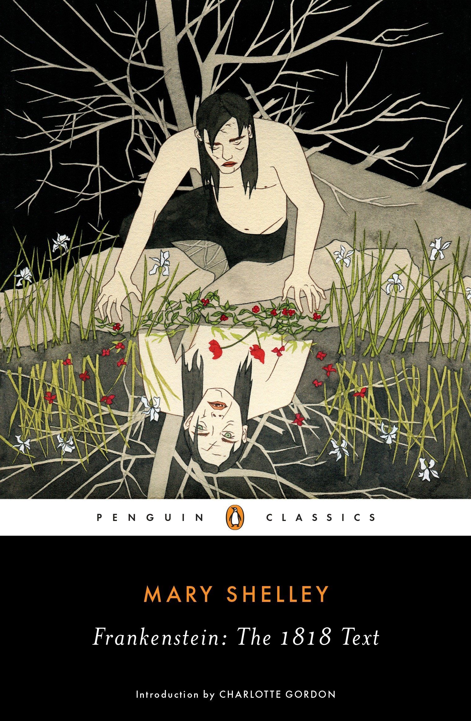 Download Frankenstein: The 1818 Text PDF by Mary Wollstonecraft Shelley