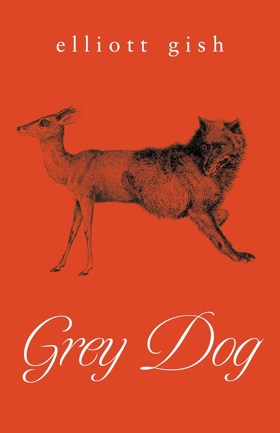 Download Grey Dog PDF by Elliott  Gish
