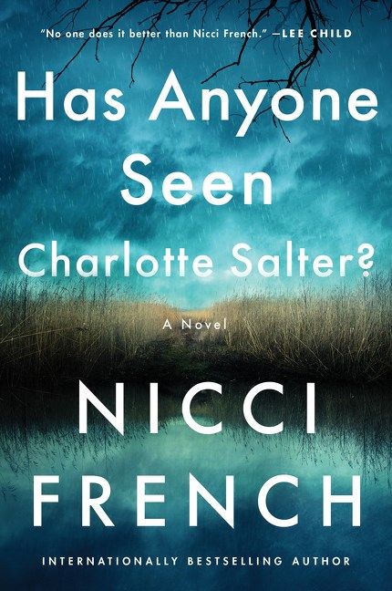 Download Has Anyone Seen Charlotte Salter? PDF by Nicci French