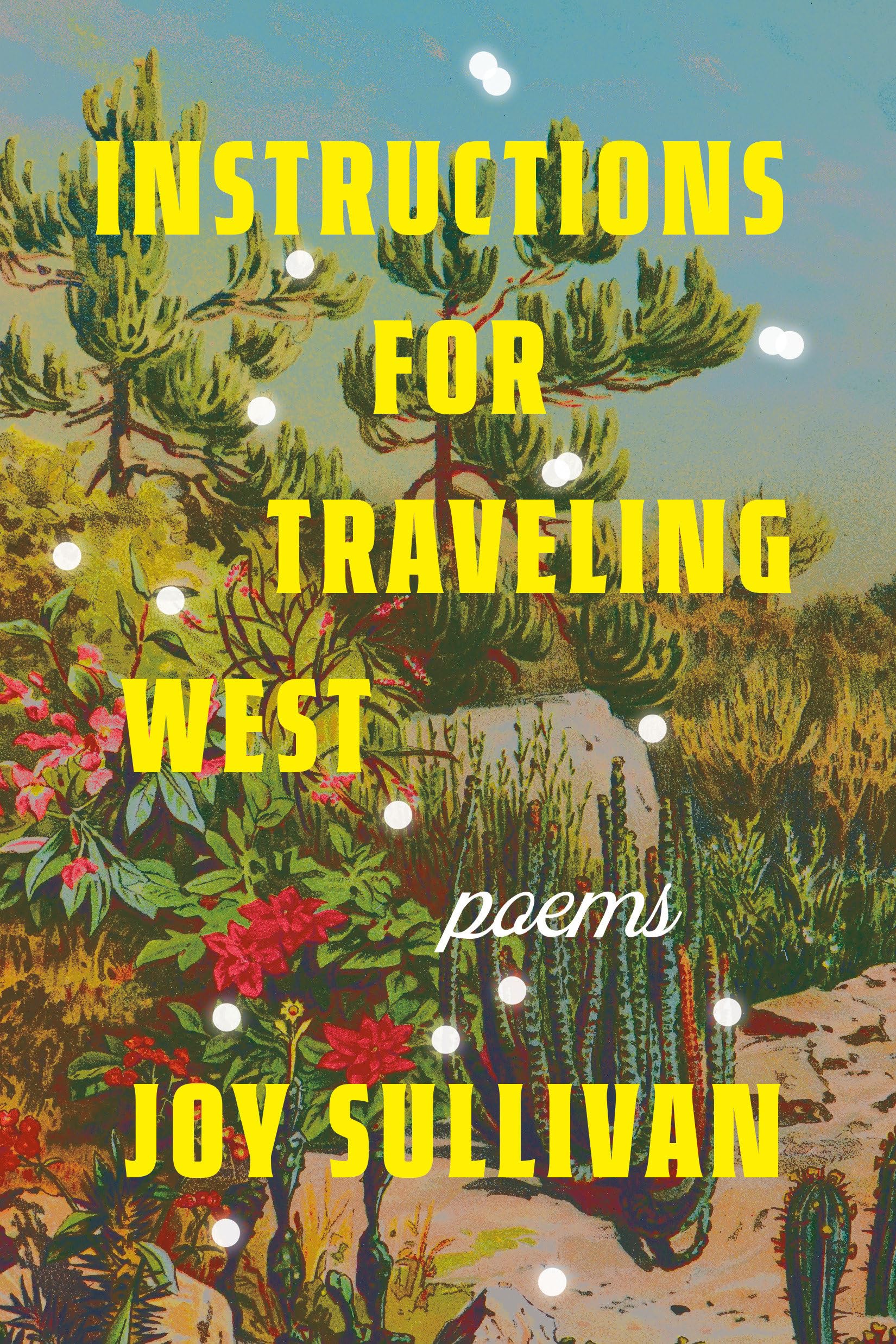 Download Instructions for Traveling West: Poems PDF by Joy Sullivan