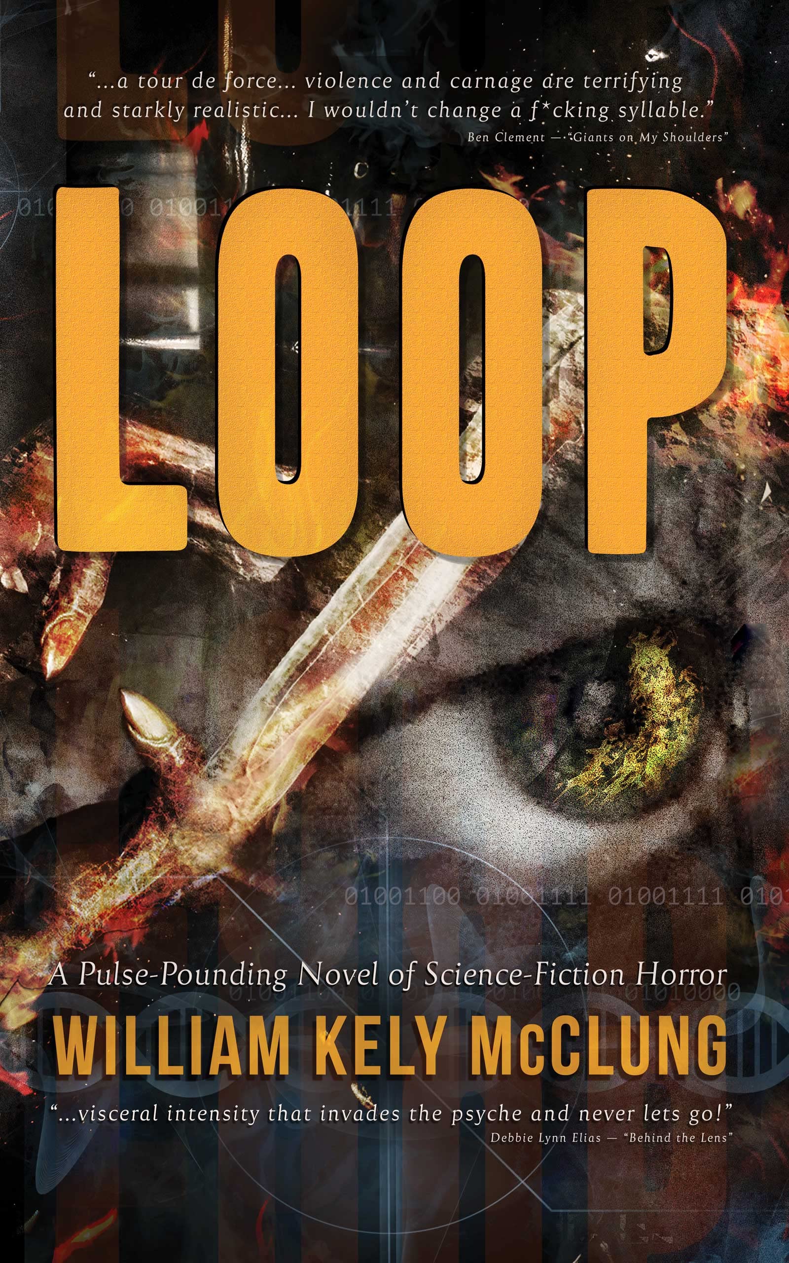 Download LOOP PDF by William Kely McClung