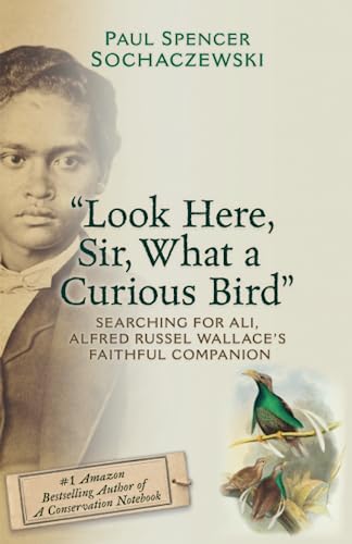 Download "Look Here, Sir, What a Curious Bird": Searching for Ali, Alfred Russel Wallace's Faithful Companion PDF by Paul Spencer Sochaczewski