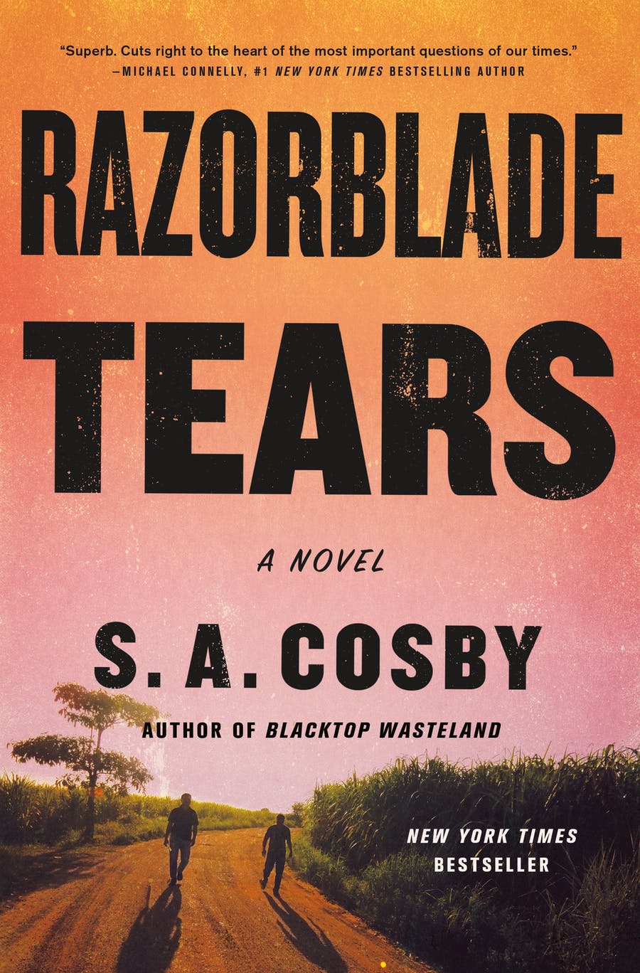 Download Razorblade Tears PDF by S.A. Cosby