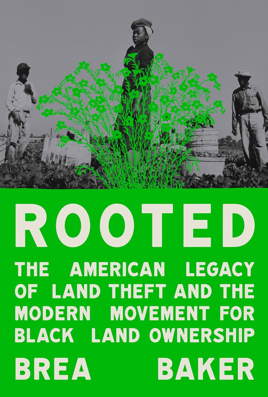 Download Rooted: The American Legacy of Land Theft and the Modern Movement for Black Land Ownership PDF by Brea Baker