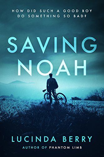 Download Saving Noah PDF by Lucinda Berry