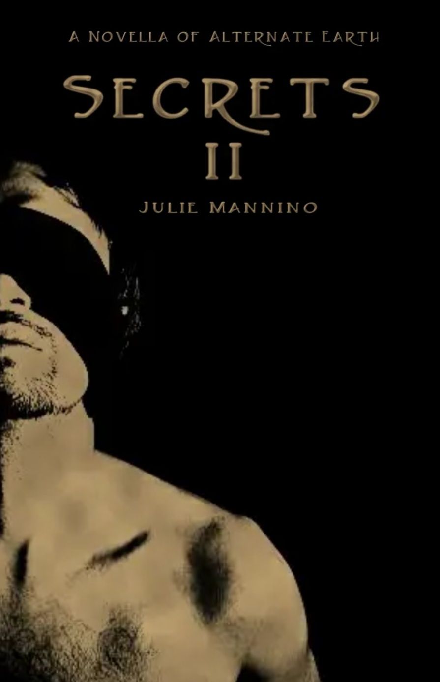 Download Secrets II PDF by Julie Mannino