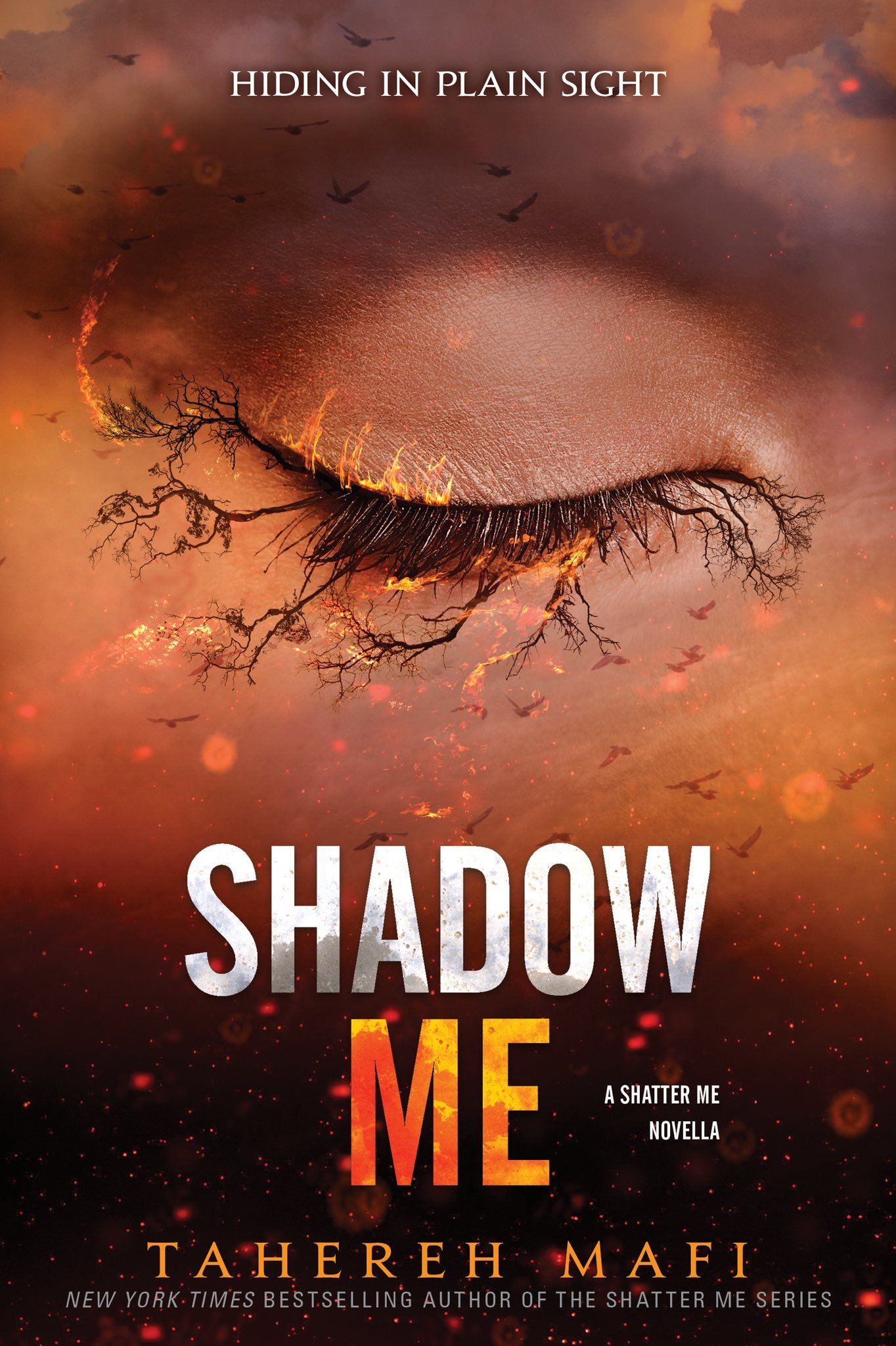 Download Shadow Me PDF by Tahereh Mafi