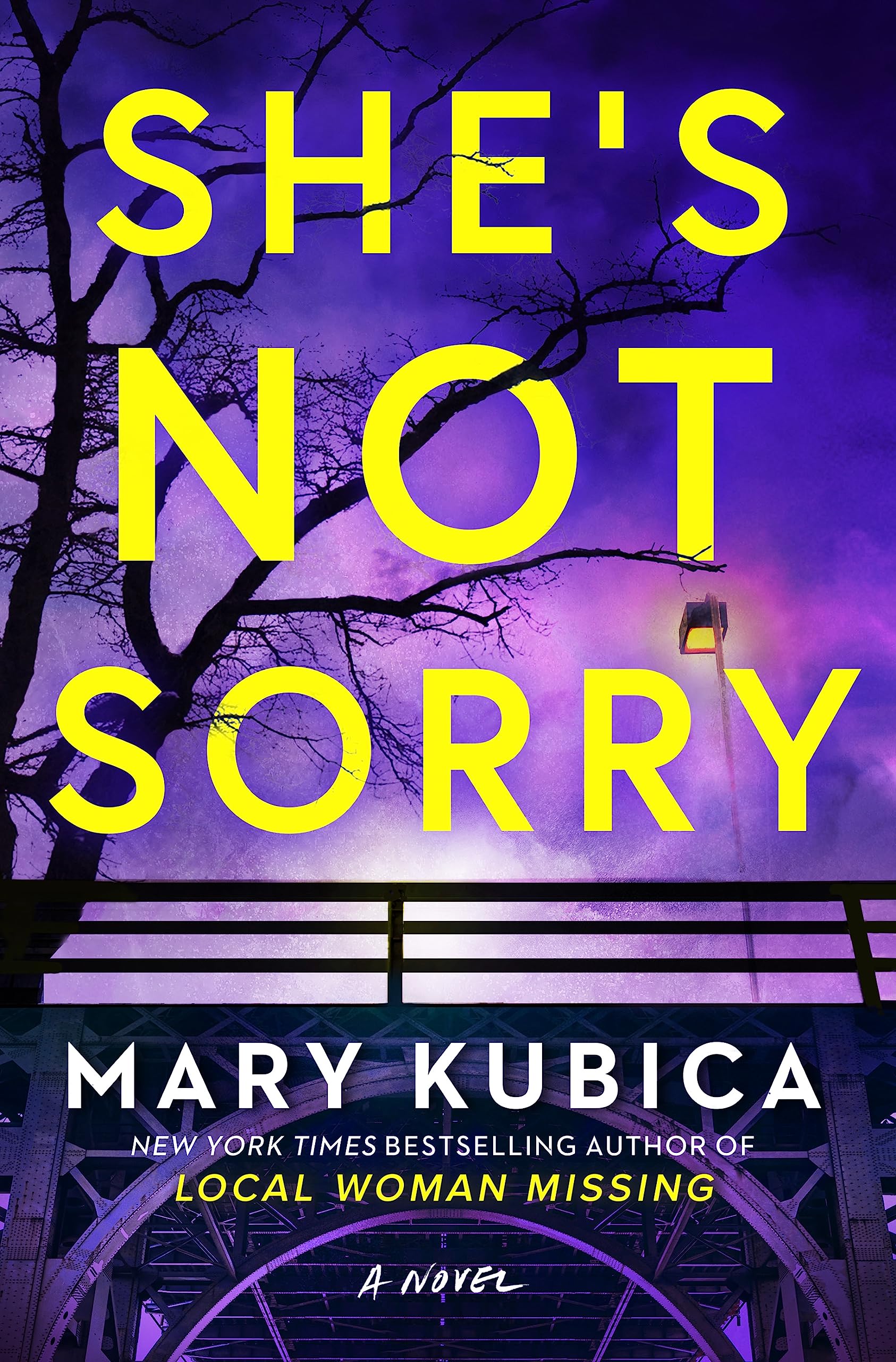 Download She's Not Sorry PDF by Mary Kubica