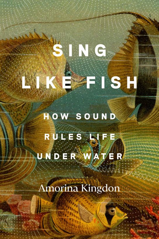 Download Sing Like Fish: How Sound Rules Life Under Water PDF by Amorina Kingdon