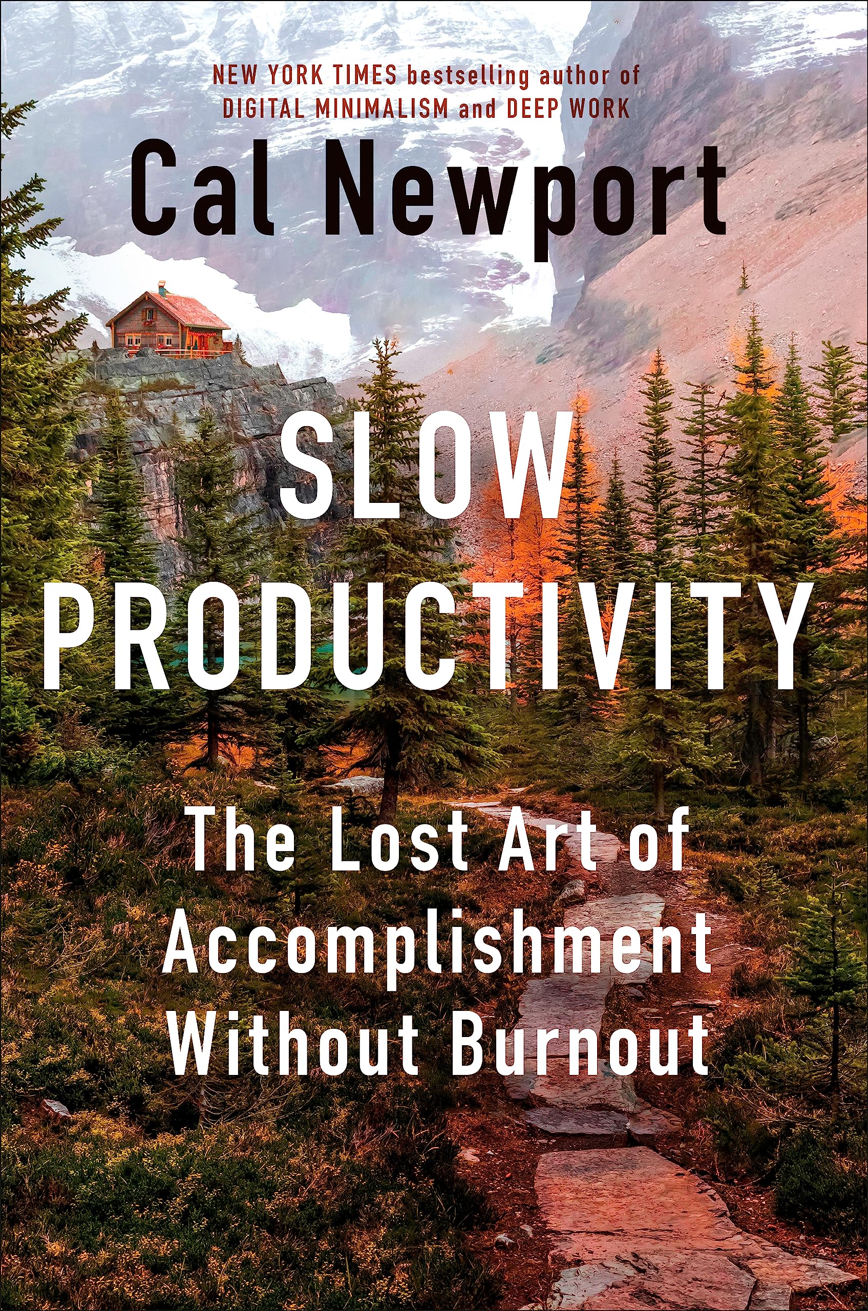 Download Slow Productivity: The Lost Art of Accomplishment Without Burnout PDF by Cal Newport