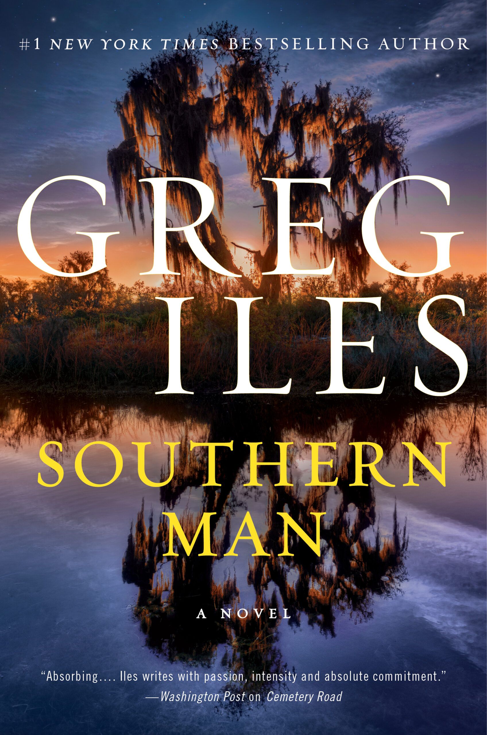 Download Southern Man PDF by Greg Iles