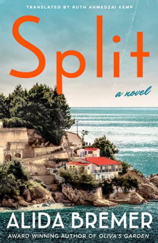 Download Split PDF by Alida Bremer