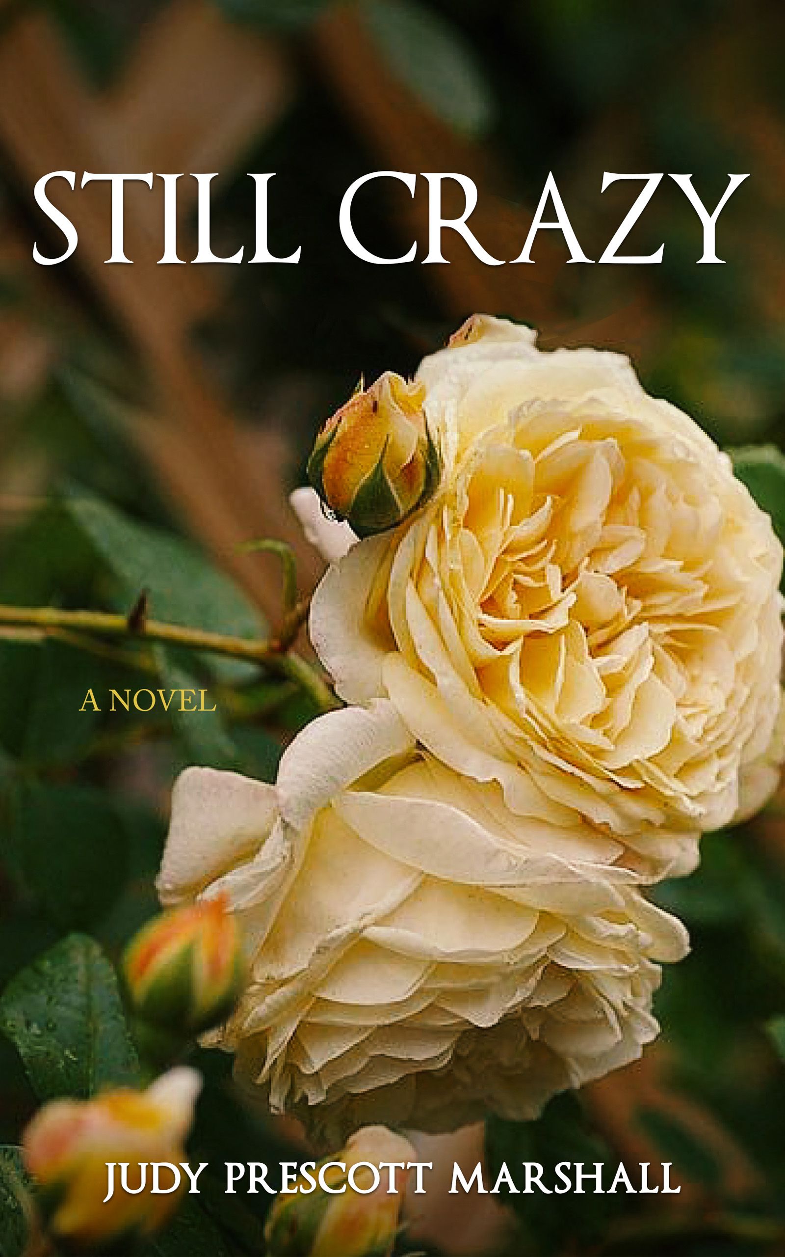 Download Still Crazy PDF by Judy Prescott Marshall