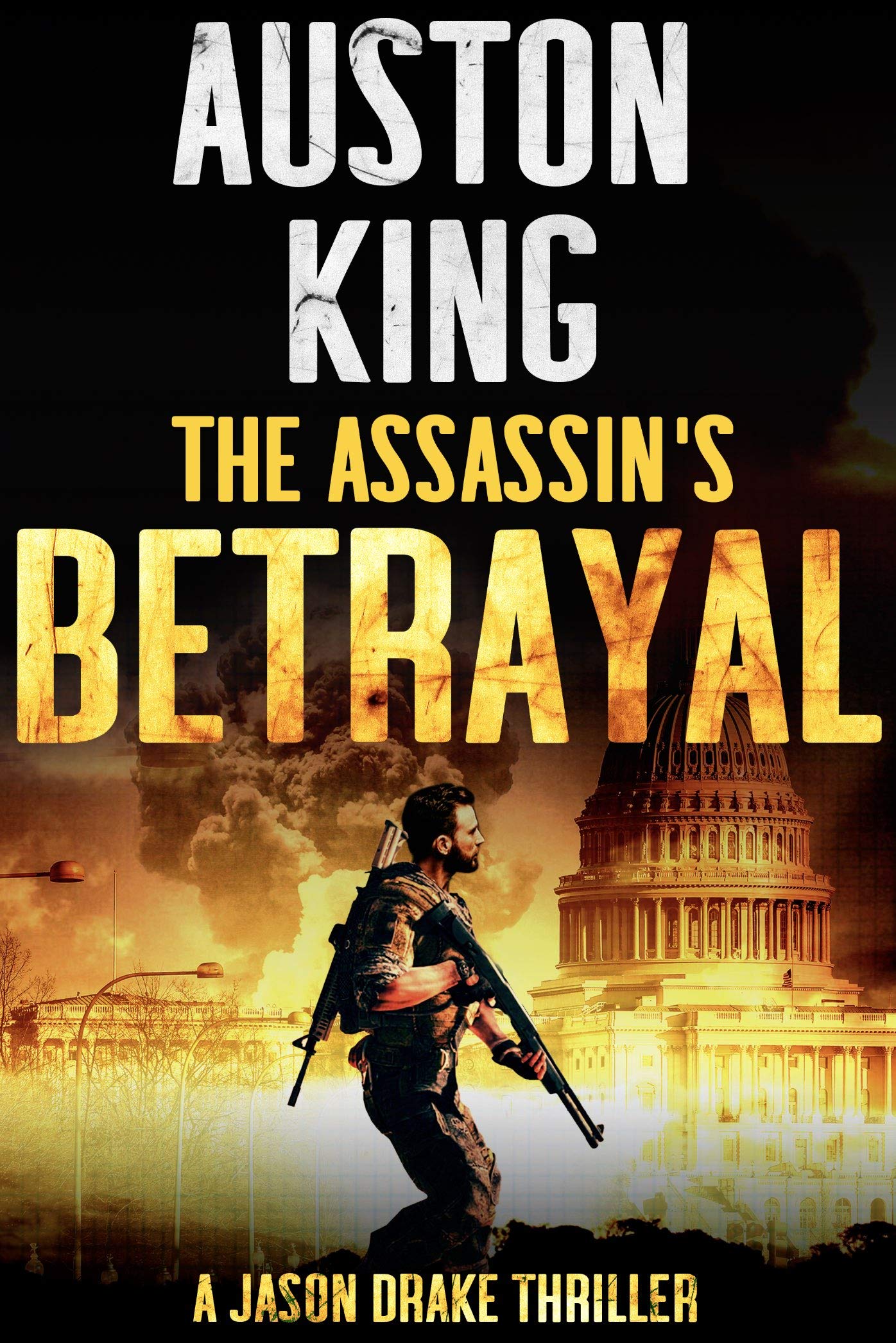 Download The Assassin's Betrayal PDF by Auston King