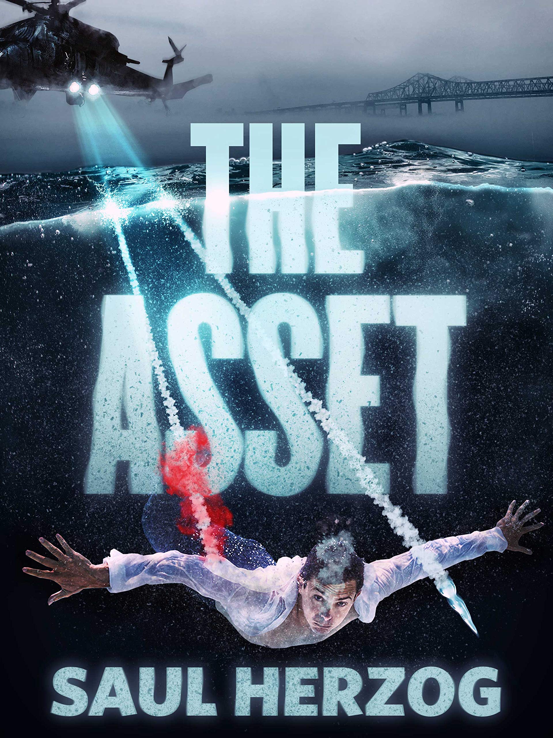 Download The Asset PDF by Saul Herzog