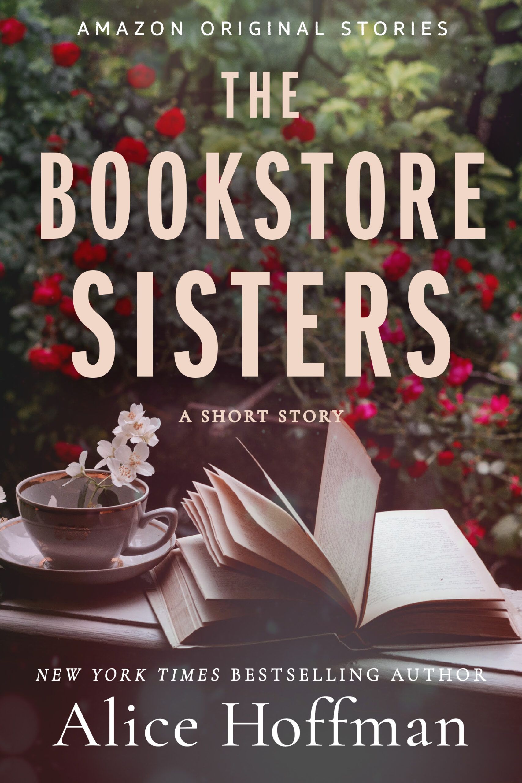 Download The Bookstore Sisters PDF by Alice Hoffman