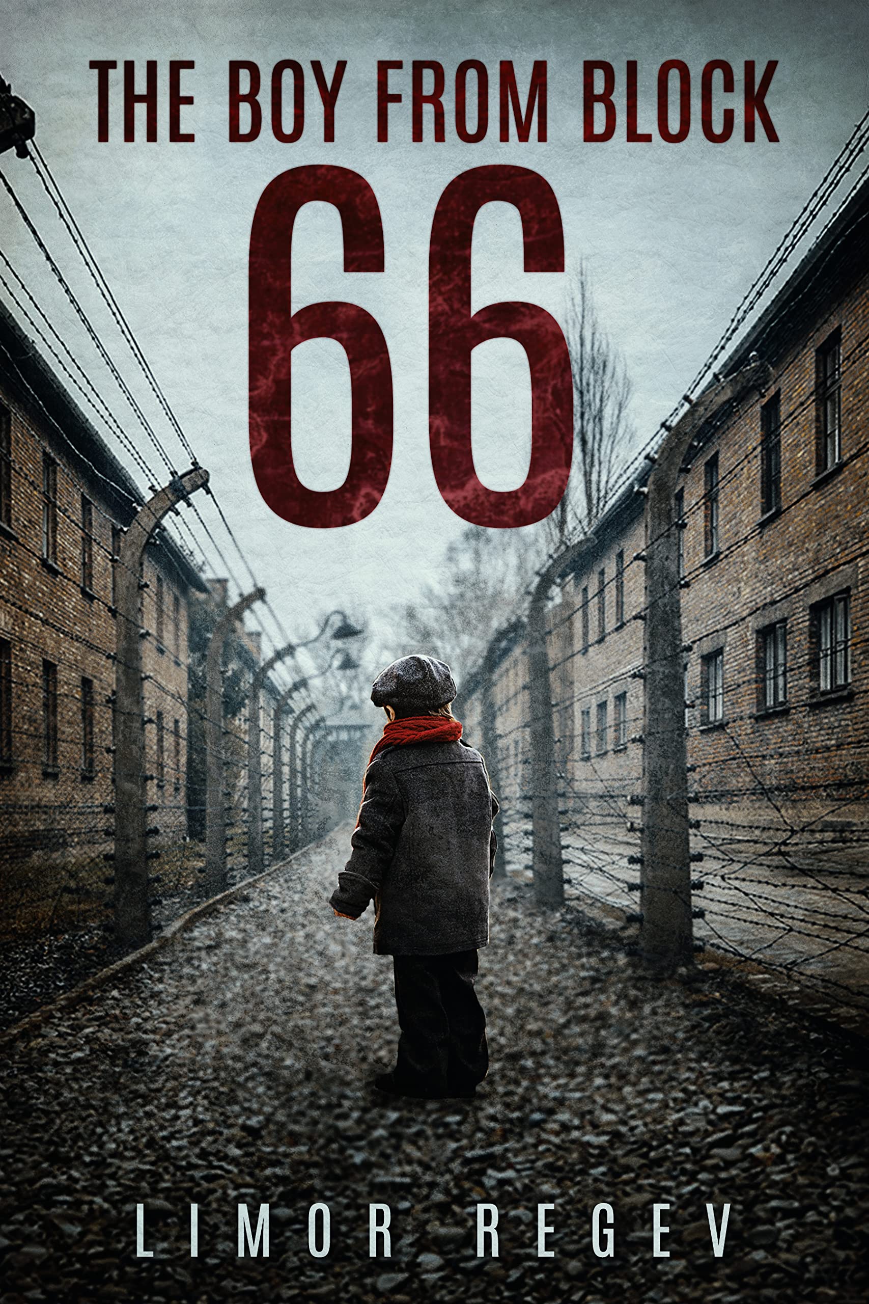 Download The Boy From Block 66: A WW2 Jewish Holocaust Survival True Story PDF by Limor Regev