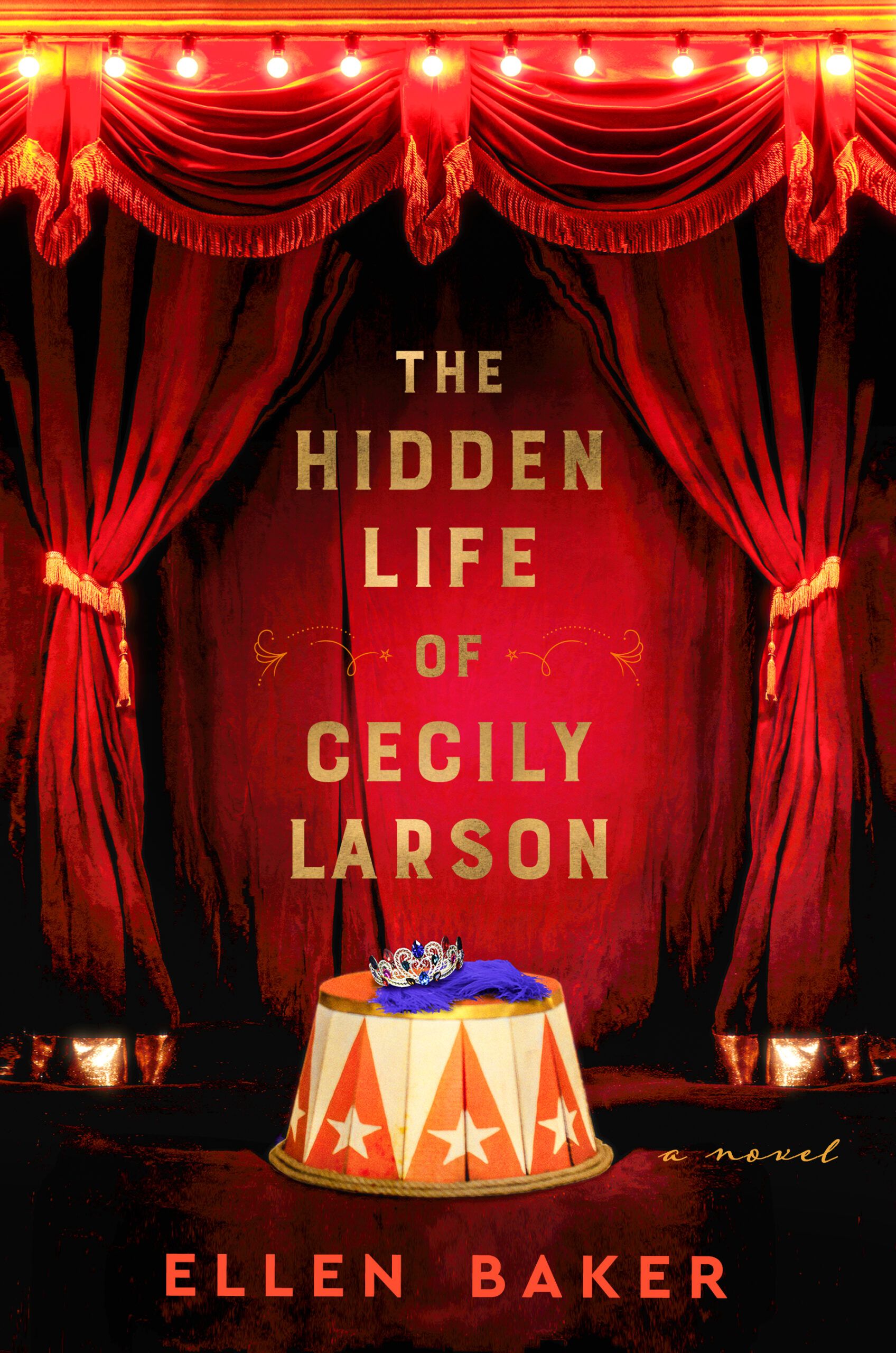 Download The Hidden Life of Cecily Larson PDF by Ellen Baker