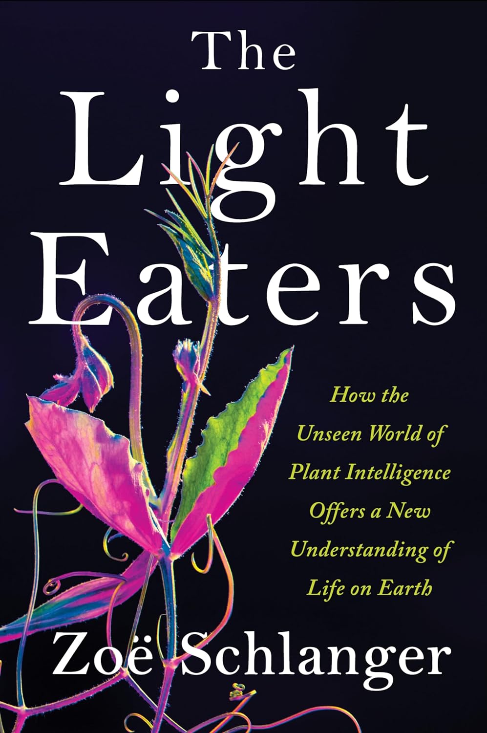 Download The Light Eaters: How the Unseen World of Plant Intelligence Offers a New Understanding of Life on Earth PDF by Zoë Schlanger