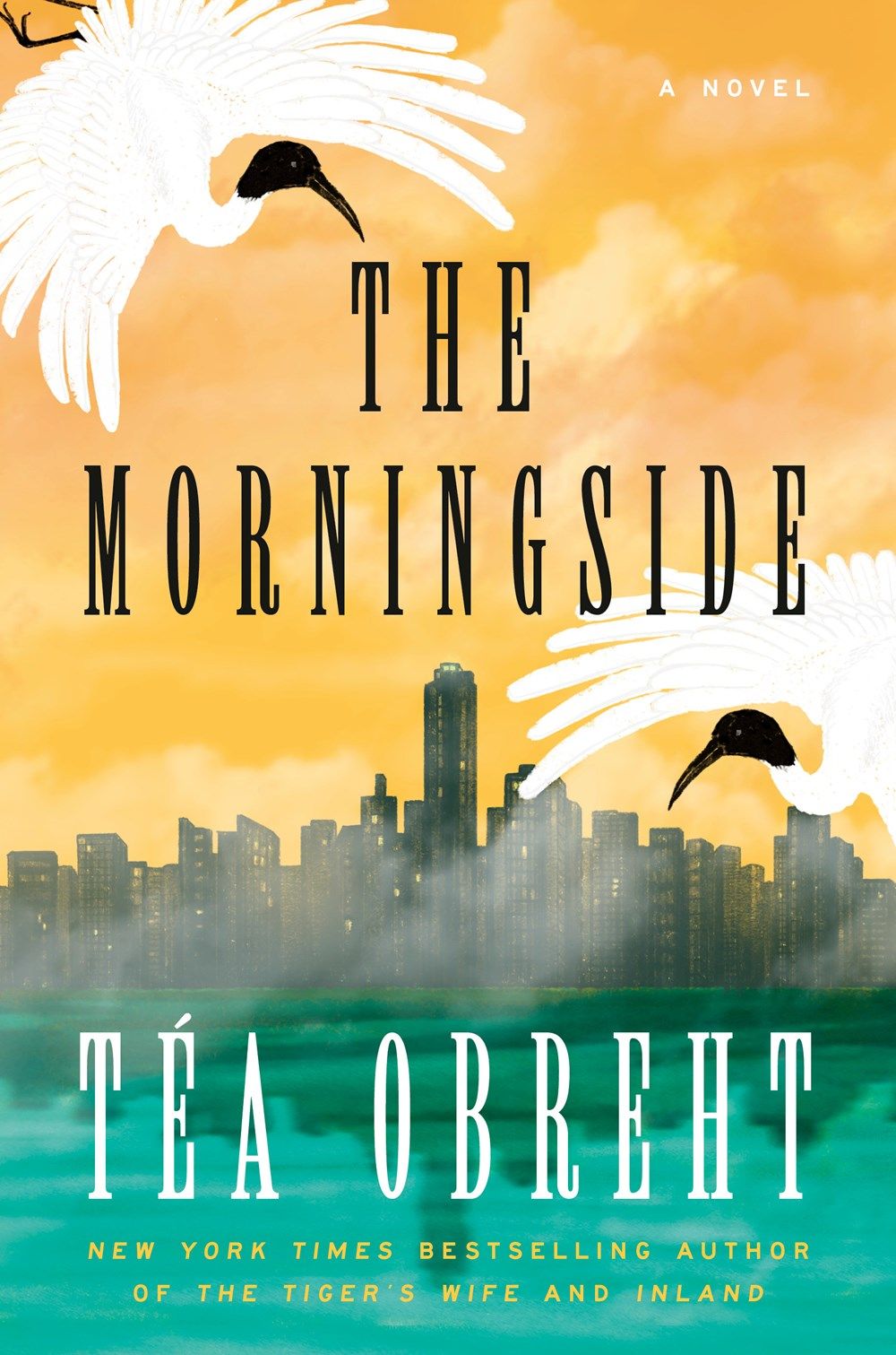 Download The Morningside PDF by Téa Obreht