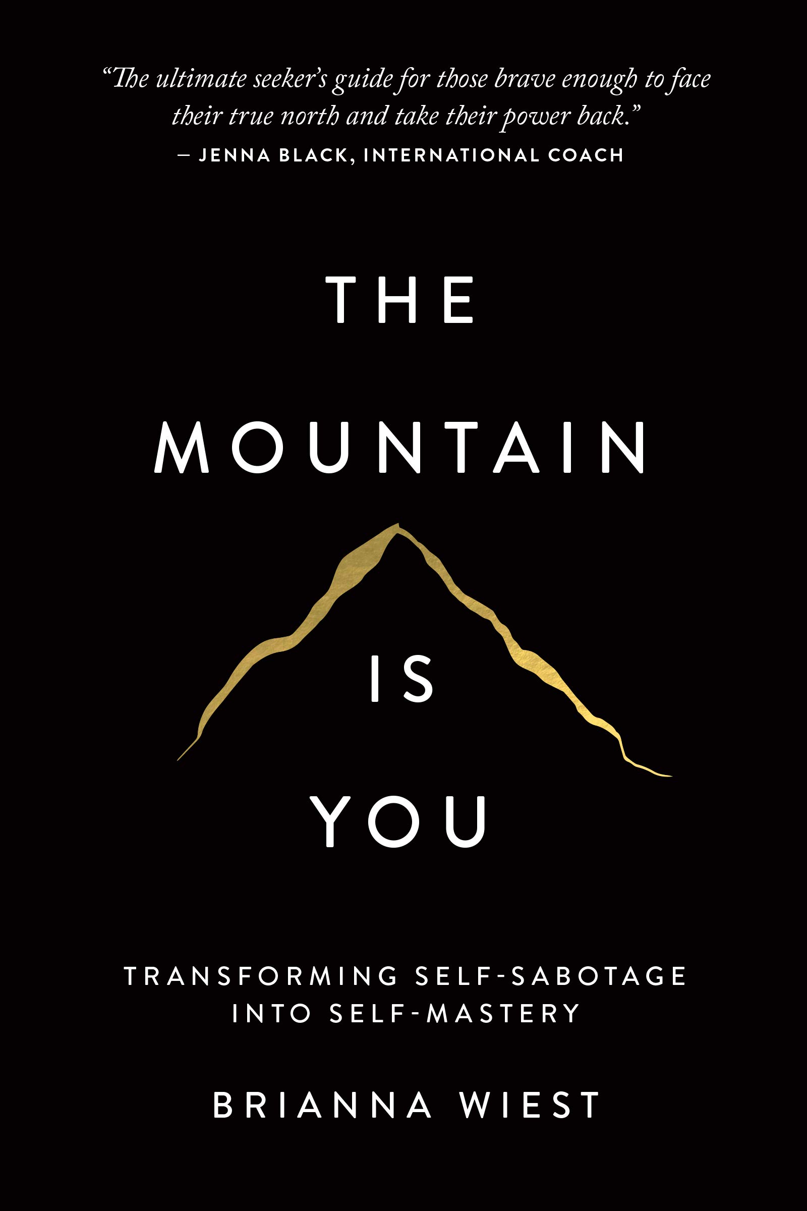 Download The Mountain Is You: Transforming Self-Sabotage Into Self-Mastery PDF by Brianna Wiest