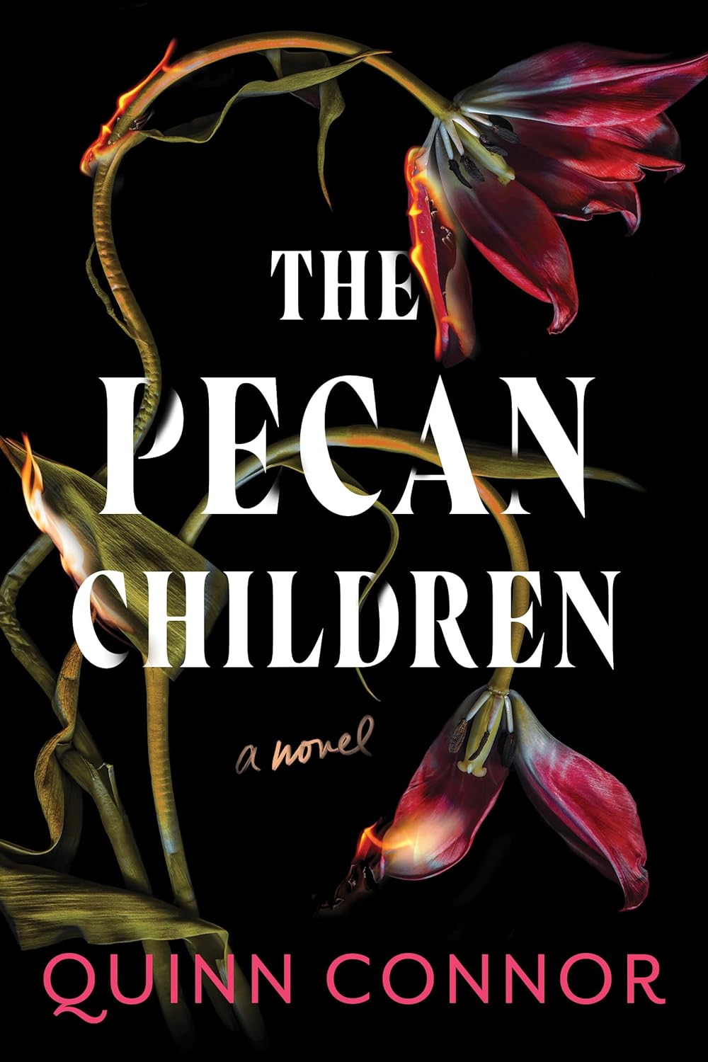 Download The Pecan Children PDF by Quinn Connor