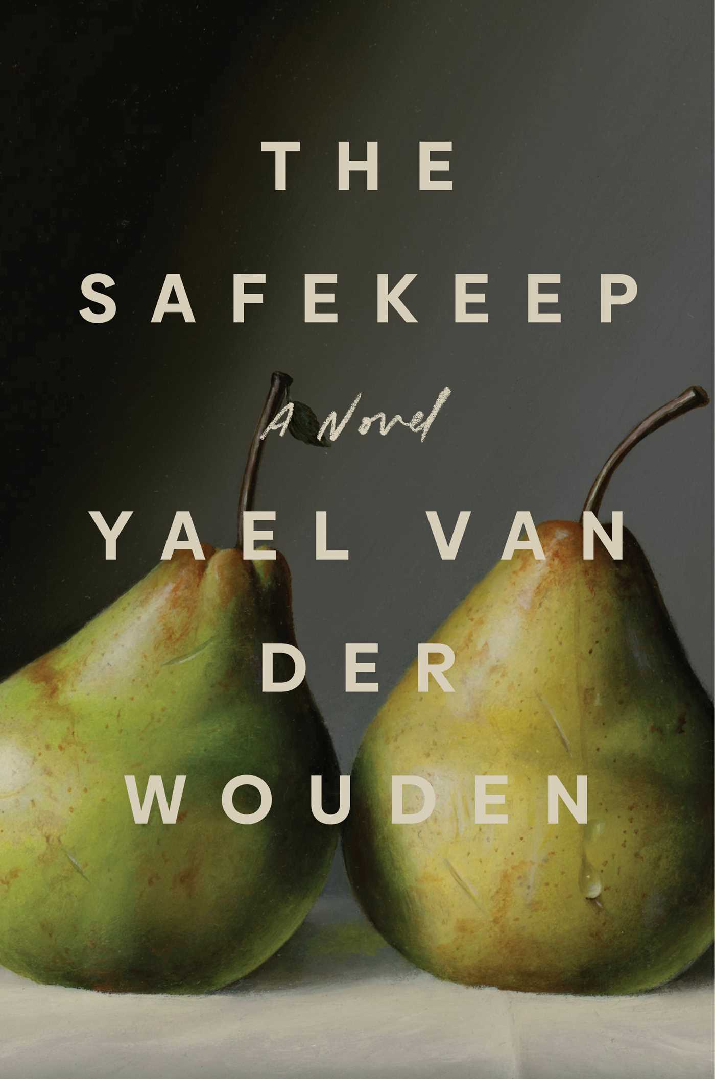 Download The Safekeep PDF by Yael van der Wouden