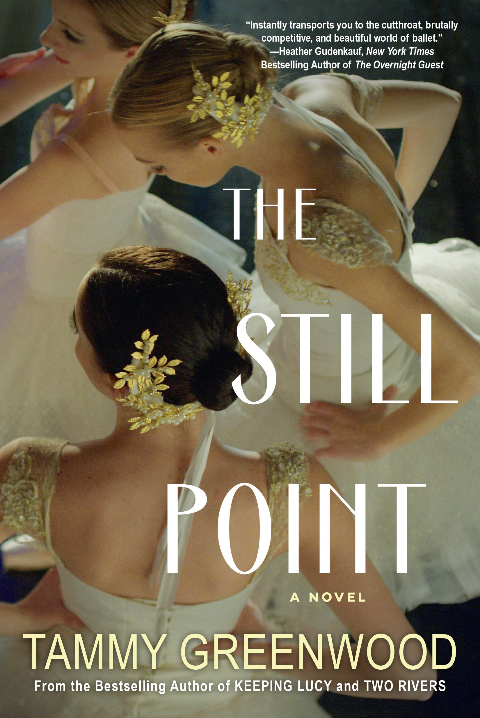 Download The Still Point PDF by Tammy  Greenwood