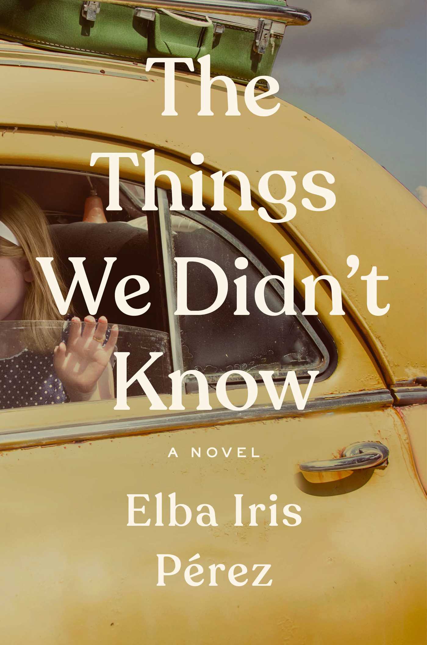 Download The Things We Didn't Know PDF by Elba Iris Pérez