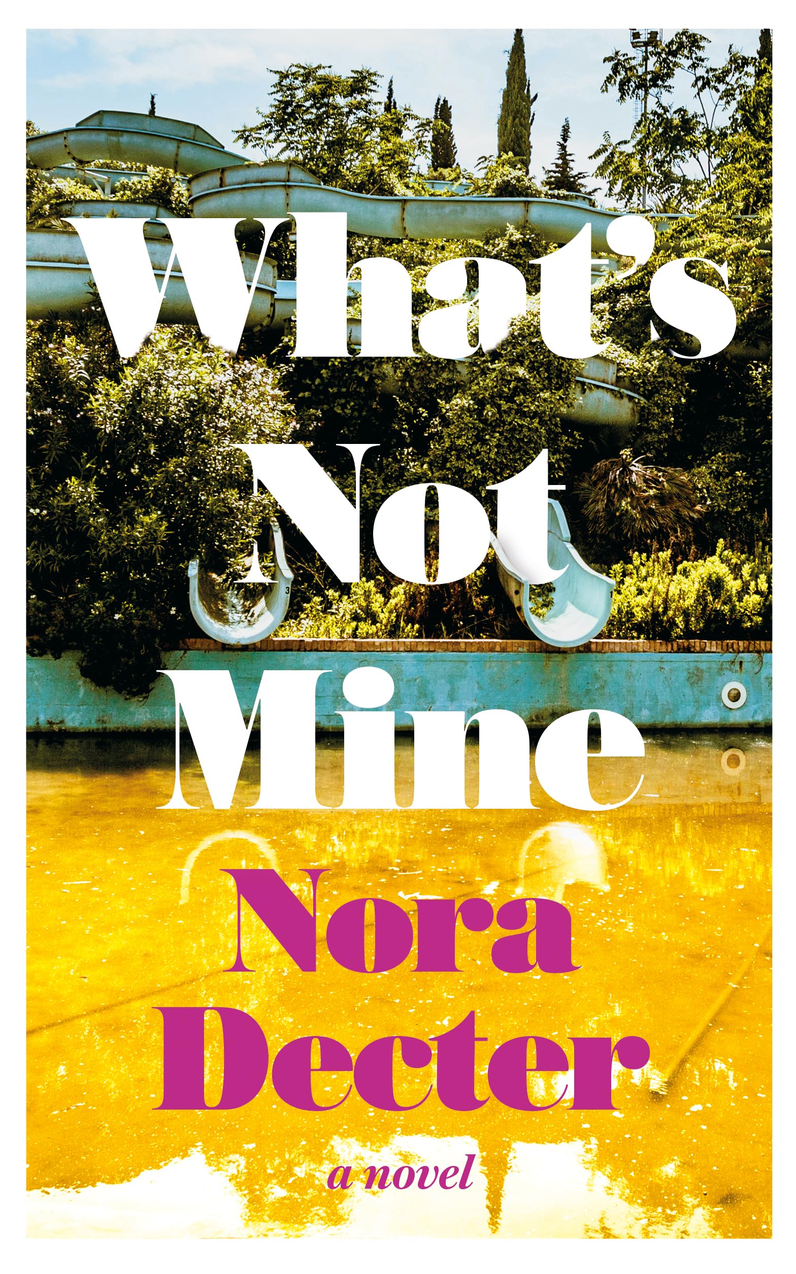 Download What’s Not Mine PDF by Nora Decter