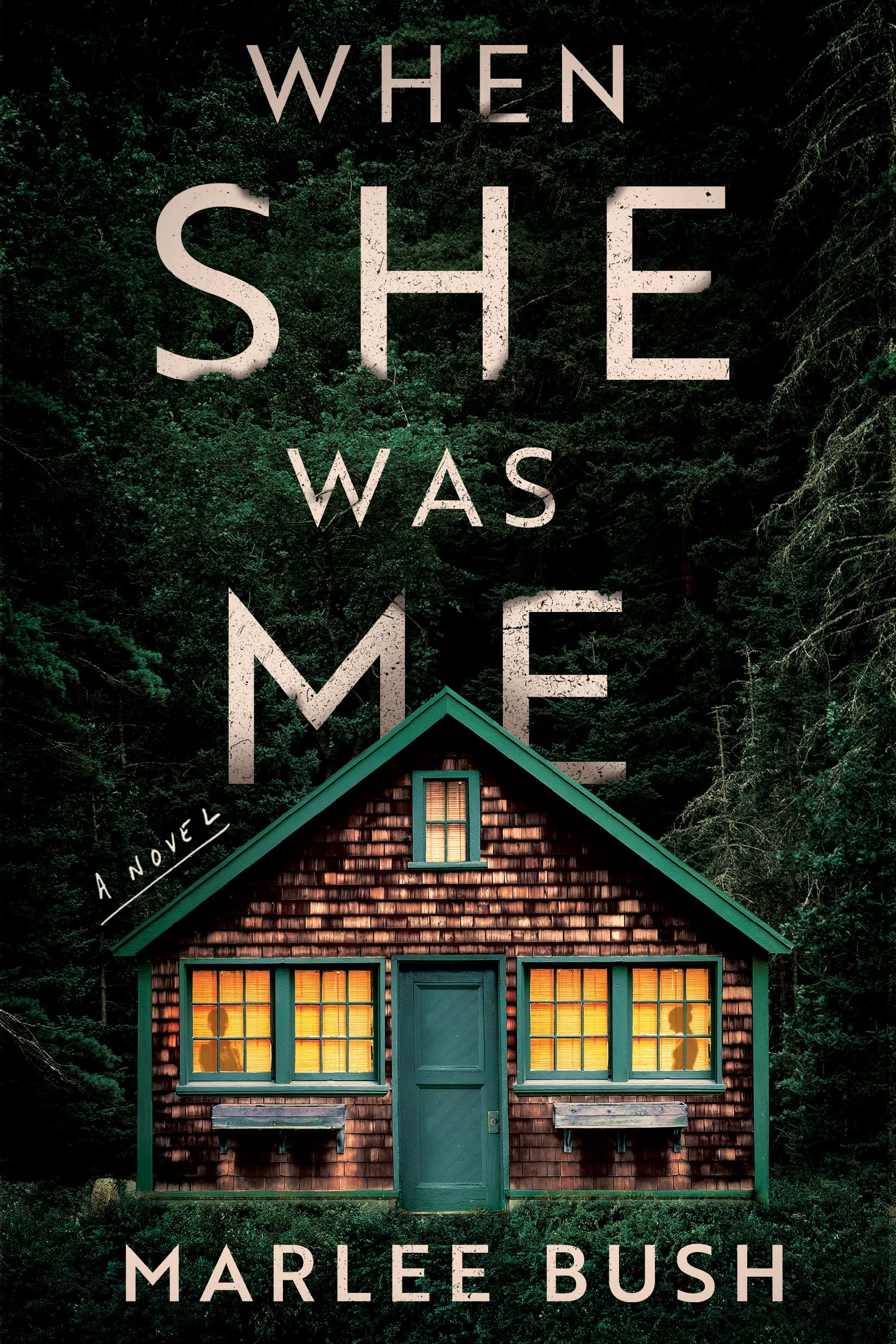 Download When She Was Me PDF by Marlee Bush