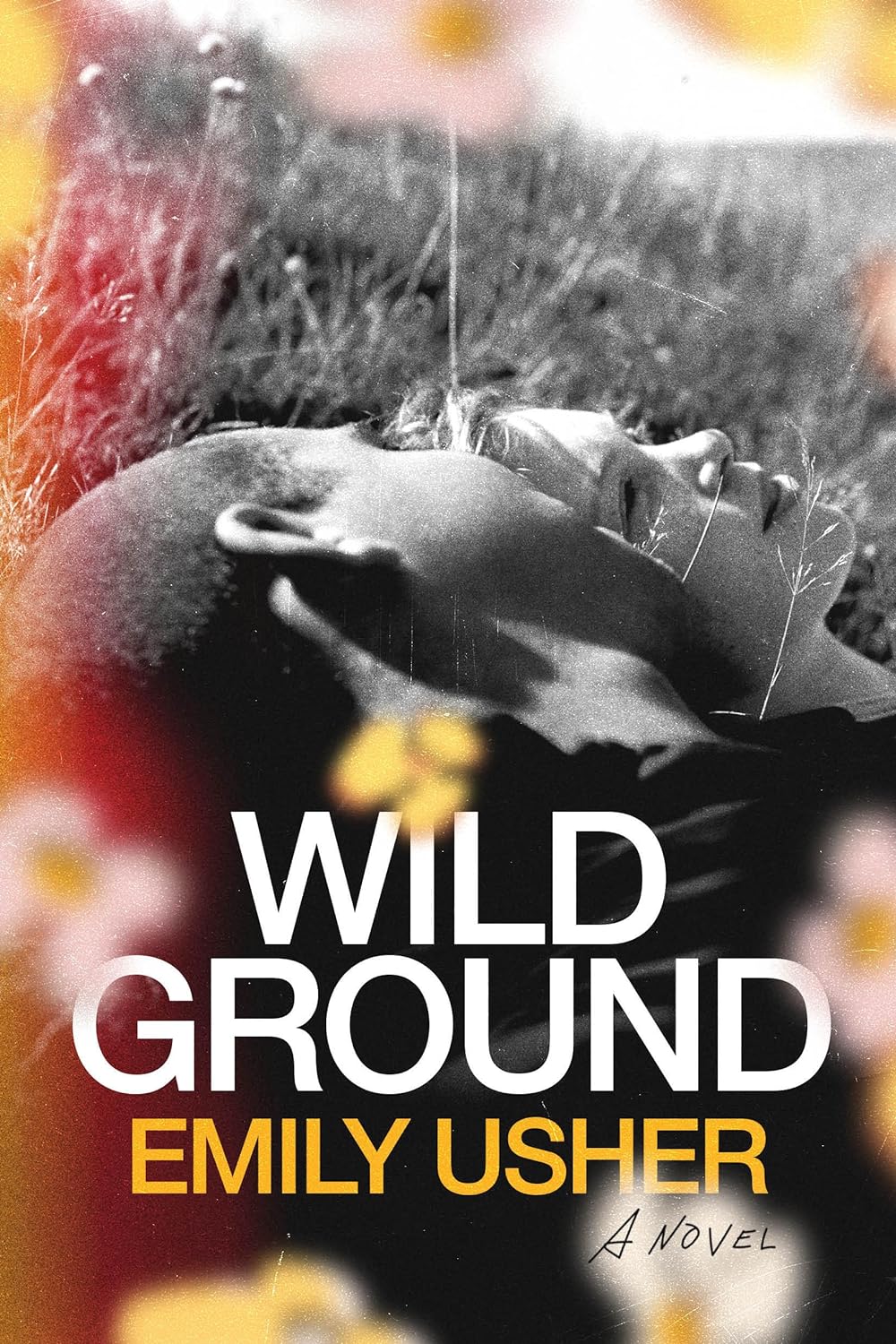 Download Wild Ground PDF by Emily  Usher