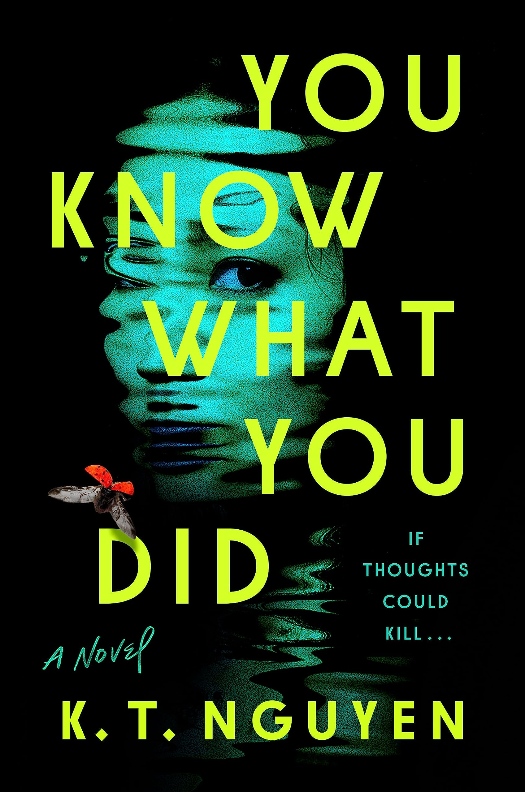 Download You Know What You Did PDF by K.T. Nguyen