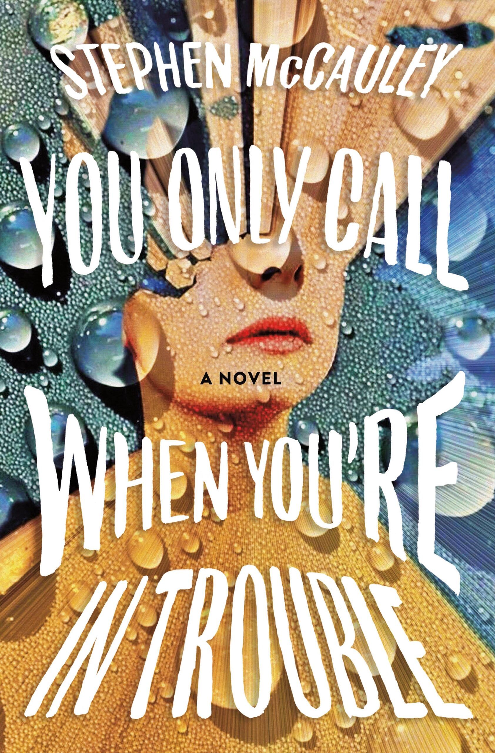 Download You Only Call When You're in Trouble PDF by Stephen McCauley