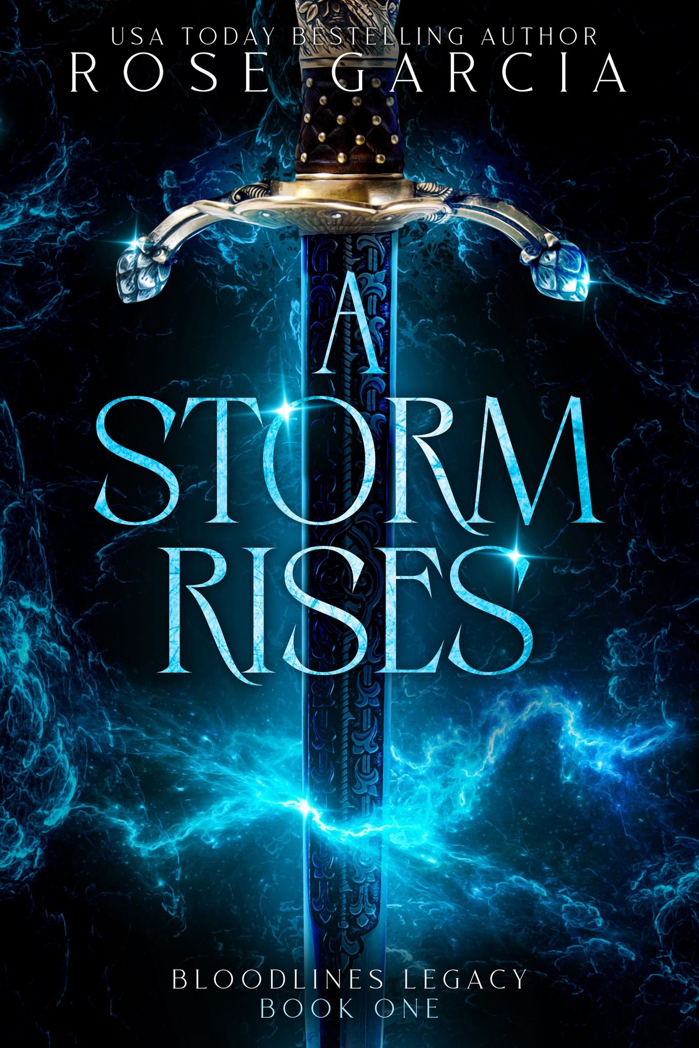 Download A Storm Rises PDF by Rose Garcia