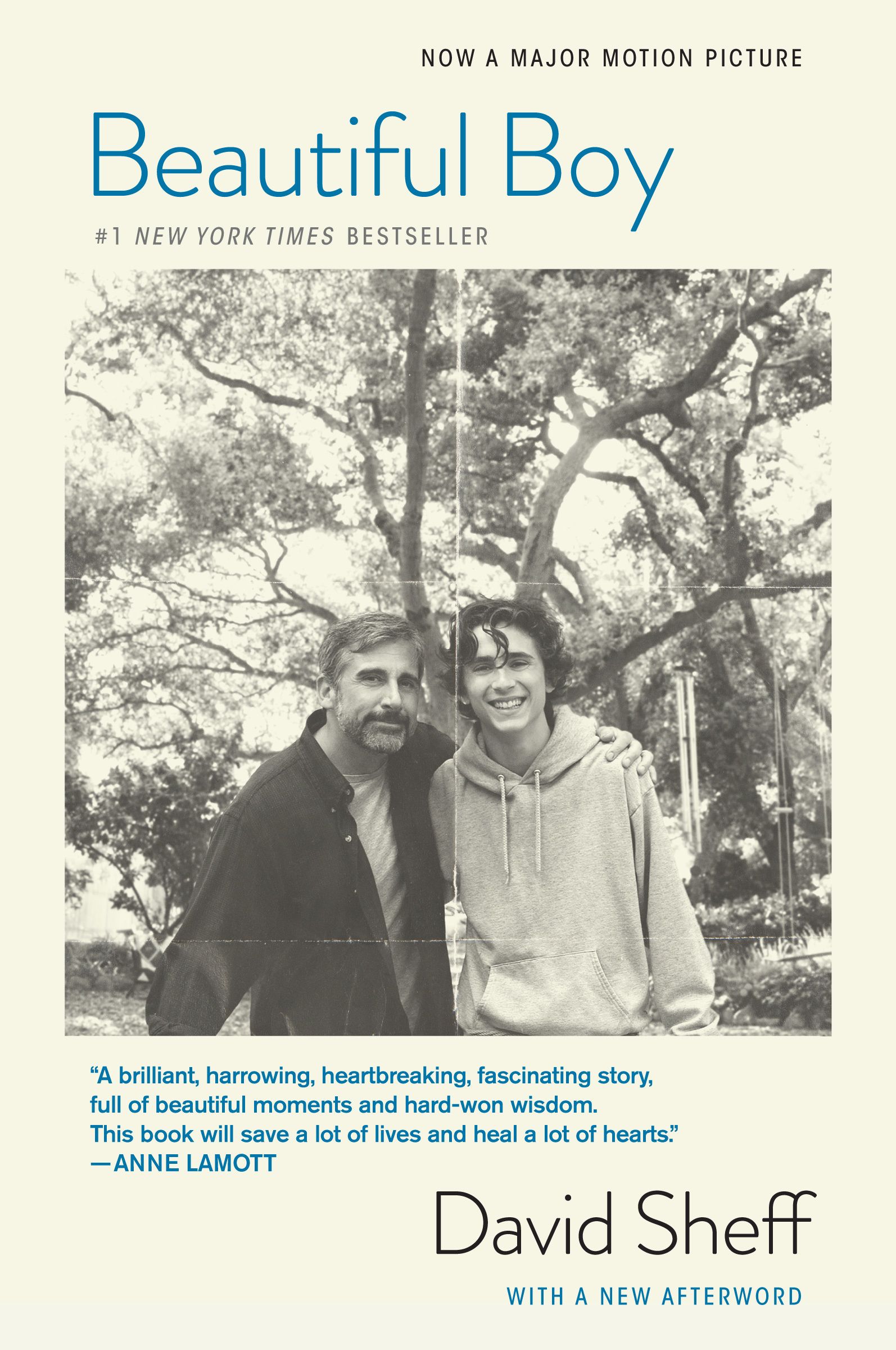 Download Beautiful Boy: A Father's Journey Through His Son's Addiction PDF by David Sheff