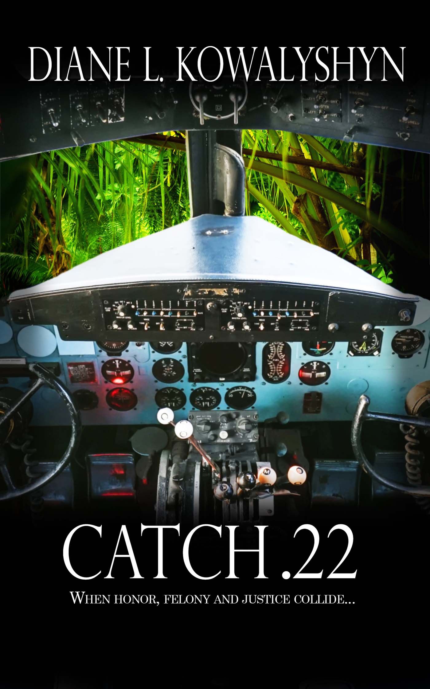 Download Catch .22 PDF by Diane L. Kowalyshyn