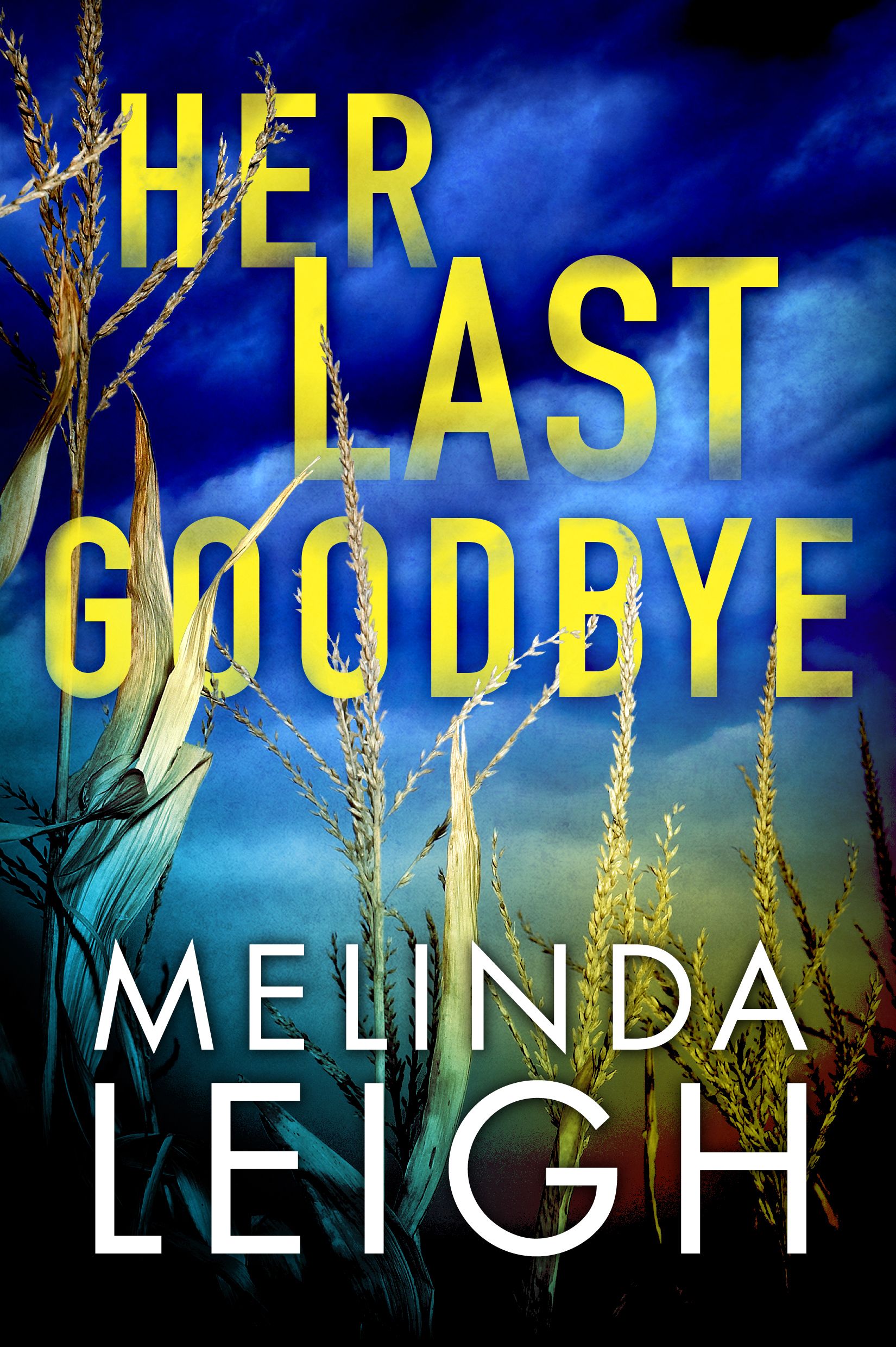 Download Her Last Goodbye PDF by Melinda Leigh