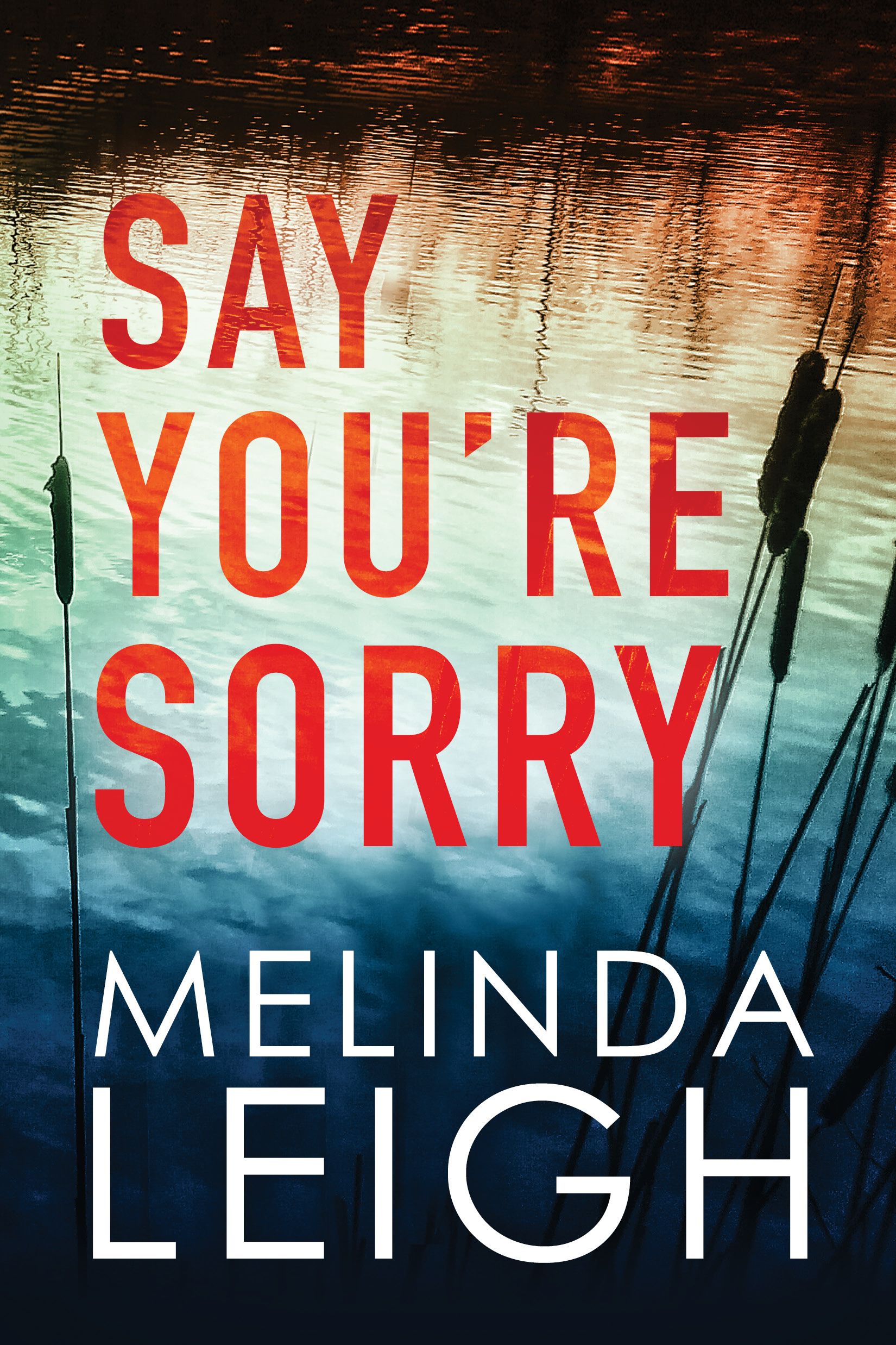 Download Say You're Sorry PDF by Melinda Leigh