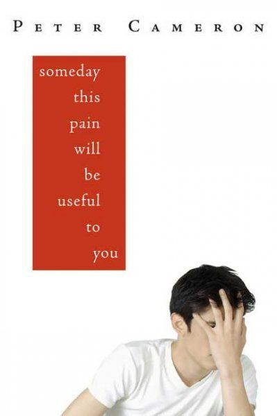 Download Someday This Pain Will Be Useful to You PDF by Peter    Cameron