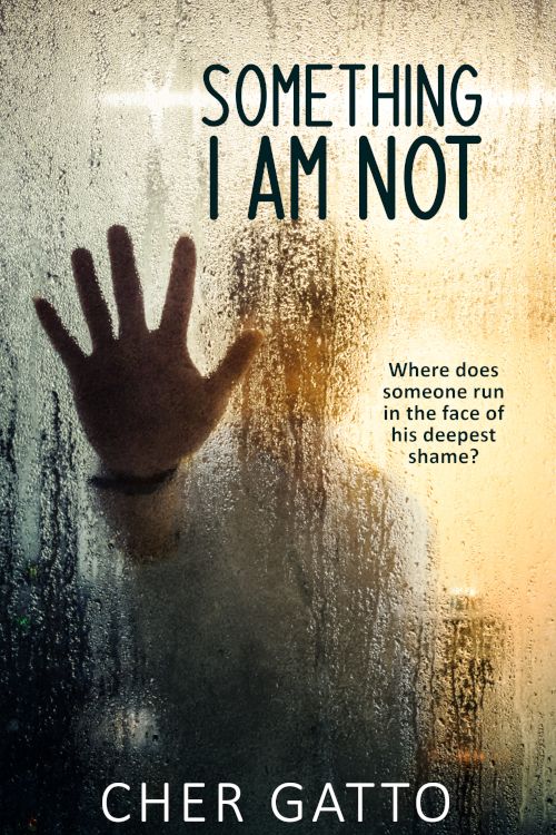 Download Something I Am Not PDF by Cher Gatto